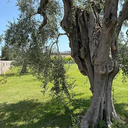 Hotel Puglia Garden 4*